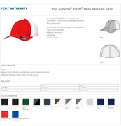 Port Authority Flexfit Mesh Back Cap BL1069 View 2